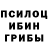 Галлюциногенные грибы Cubensis Jungacu11