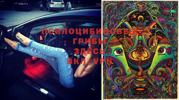 прущий лед Алексеевка