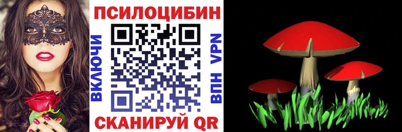 Галлюциногенные грибы Psilocybe  кракен зеркало  Дрезна 