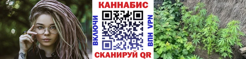 Бошки Шишки ГИДРОПОН  Дрезна 
